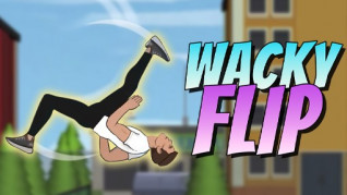 Wacky Flip img